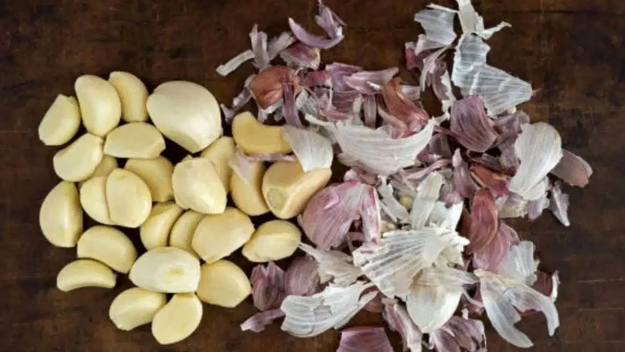 Garlic | చలికాలంలో ఆరోగ్యానికి అద్భుత ఔషధం వెల్లుల్లి.. ఎన్ని ఉపయోగాలున్నాయో తెలుసా?