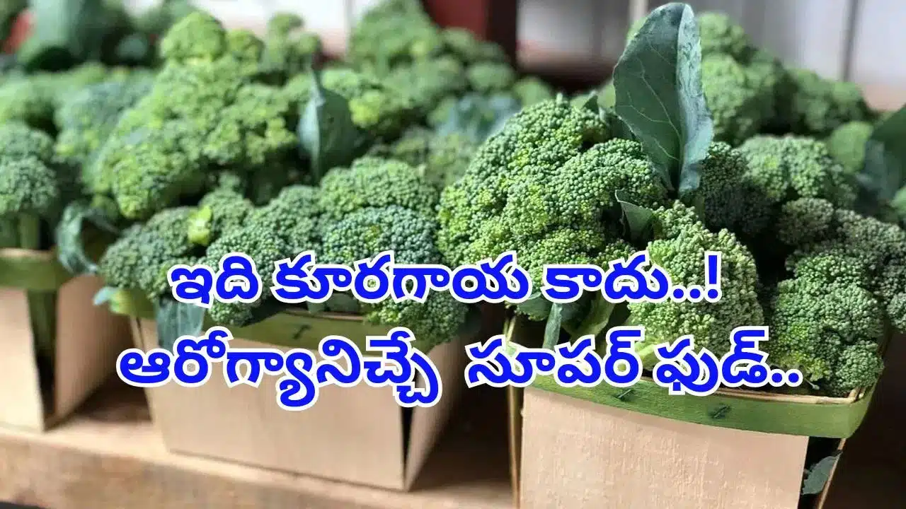 Broccoli | తల నుంచి కాళ్ల వరకు మేలు చేసే బ్రోకలీ .. నిపుణులు చెబుతున్న అద్భుత ప్రయోజనాలు!