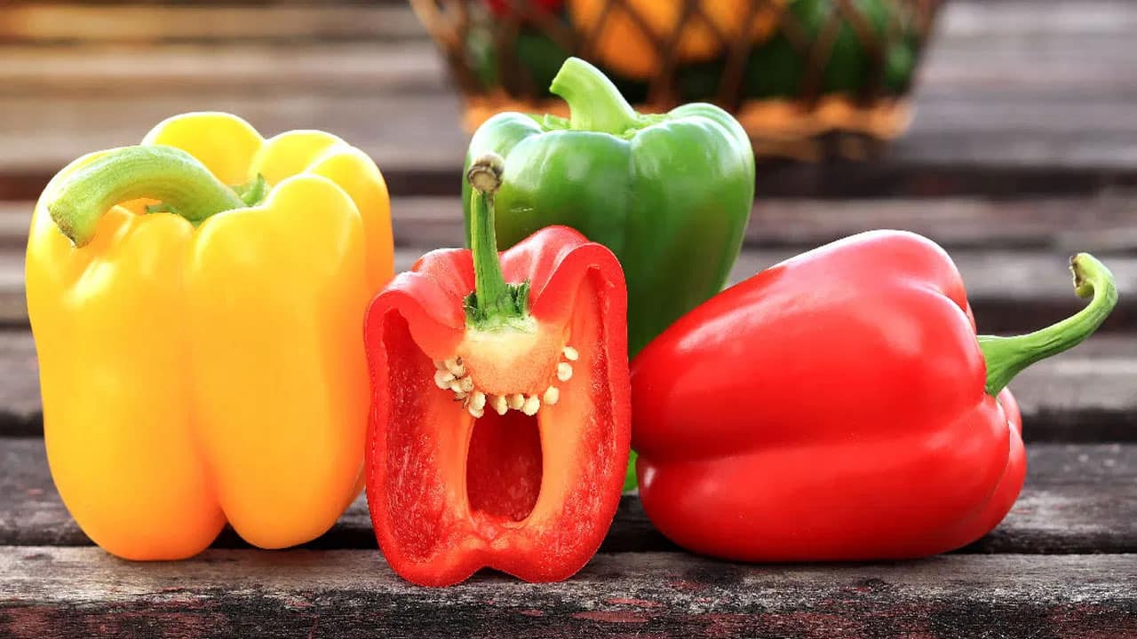 Capsicum | శీతాకాలంలో తప్పనిసరిగా తినాల్సిన కూరగాయ కాప్సికమ్.. మలబద్ధకం నుంచి గుండె ఆరోగ్యానికి వరకు