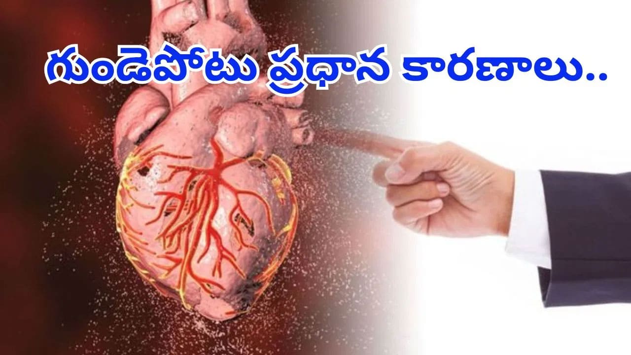 Heart Attacks | భారతదేశంలో పెరుగుతున్న గుండెపోటులు.. నిపుణుల హెచ్చరిక!