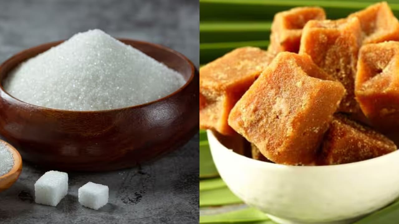 Jaggery Vs Sugar : తియ్యగా ఉంటాయని చెక్కర, బెల్లం తెగ తినేస్తున్నారా?