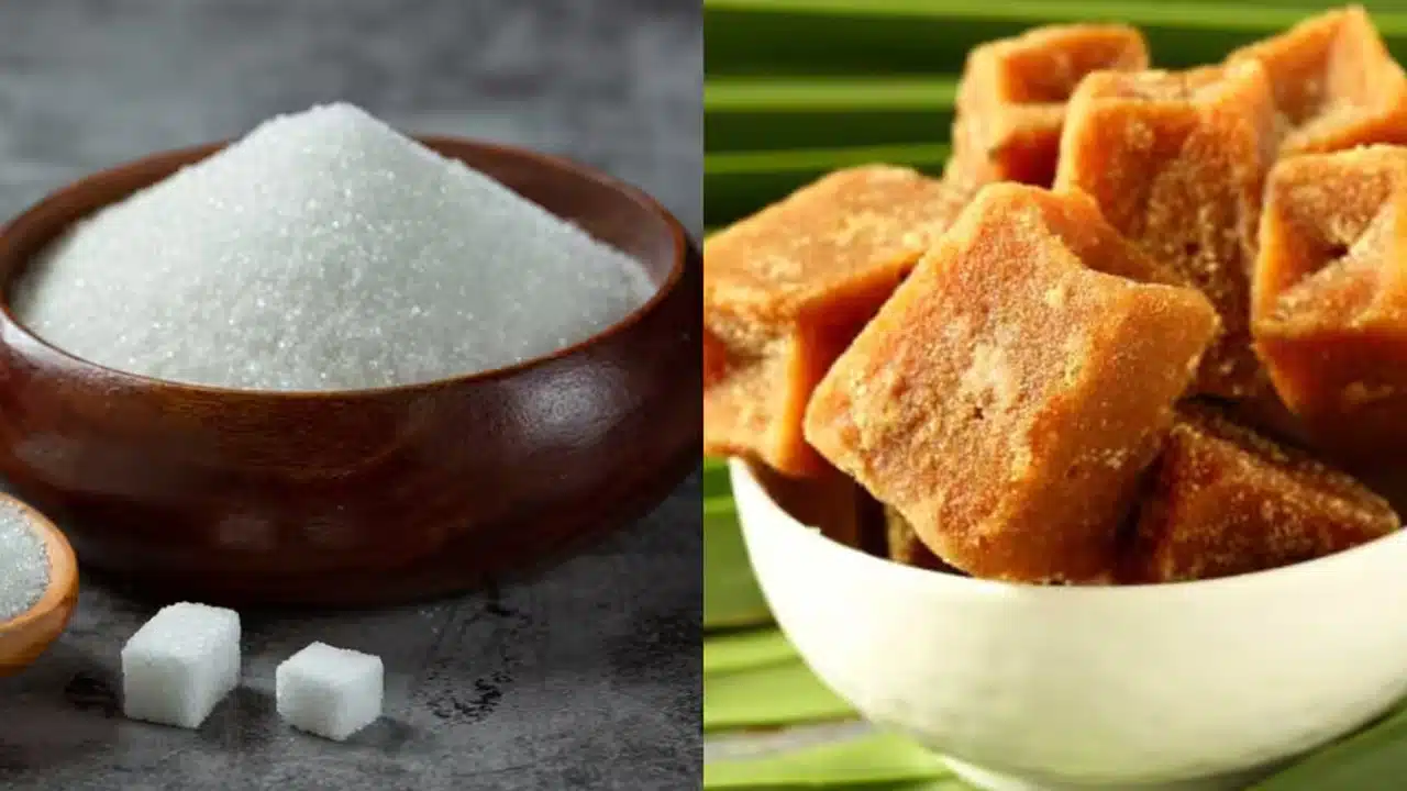 jaggery vs sugar which is better