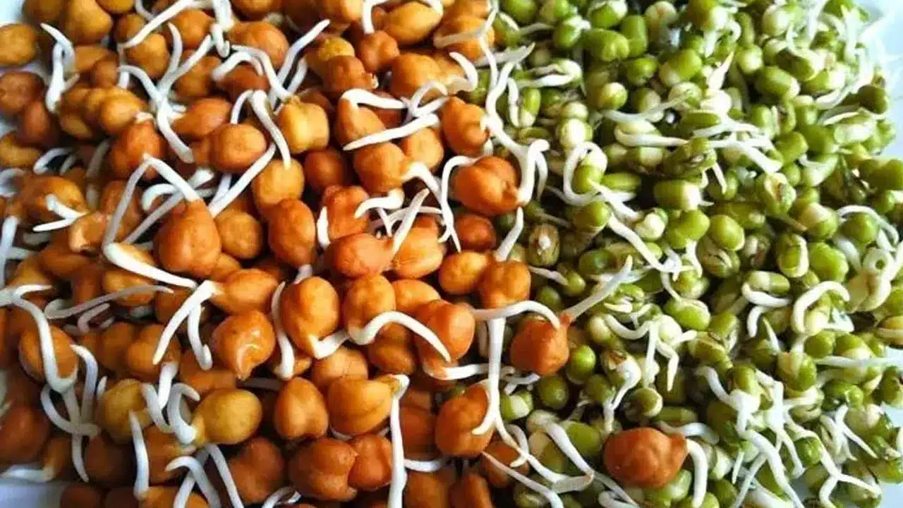 Moong dal sprouts vs chana sprouts | మొలకెత్తిన పెసలు vs నల్లశనగలు .. ఏవి ఆరోగ్యానికి మంచివి? నిపుణుల విశ్లేషణ ఇదే!