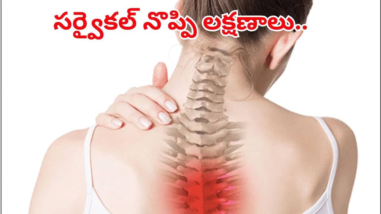 cervical  Pain | సర్వైకల్ నొప్పి ముందు శరీరం ఇచ్చే హెచ్చరిక సంకేతాలు .. నిర్లక్ష్యం చేస్తే ప్రమాదం తప్పదు!