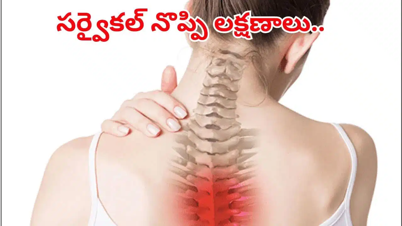 cervical Pain | సర్వైకల్ నొప్పి ముందు శరీరం ఇచ్చే హెచ్చరిక సంకేతాలు .. నిర్లక్ష్యం చేస్తే ప్రమాదం తప్పదు!