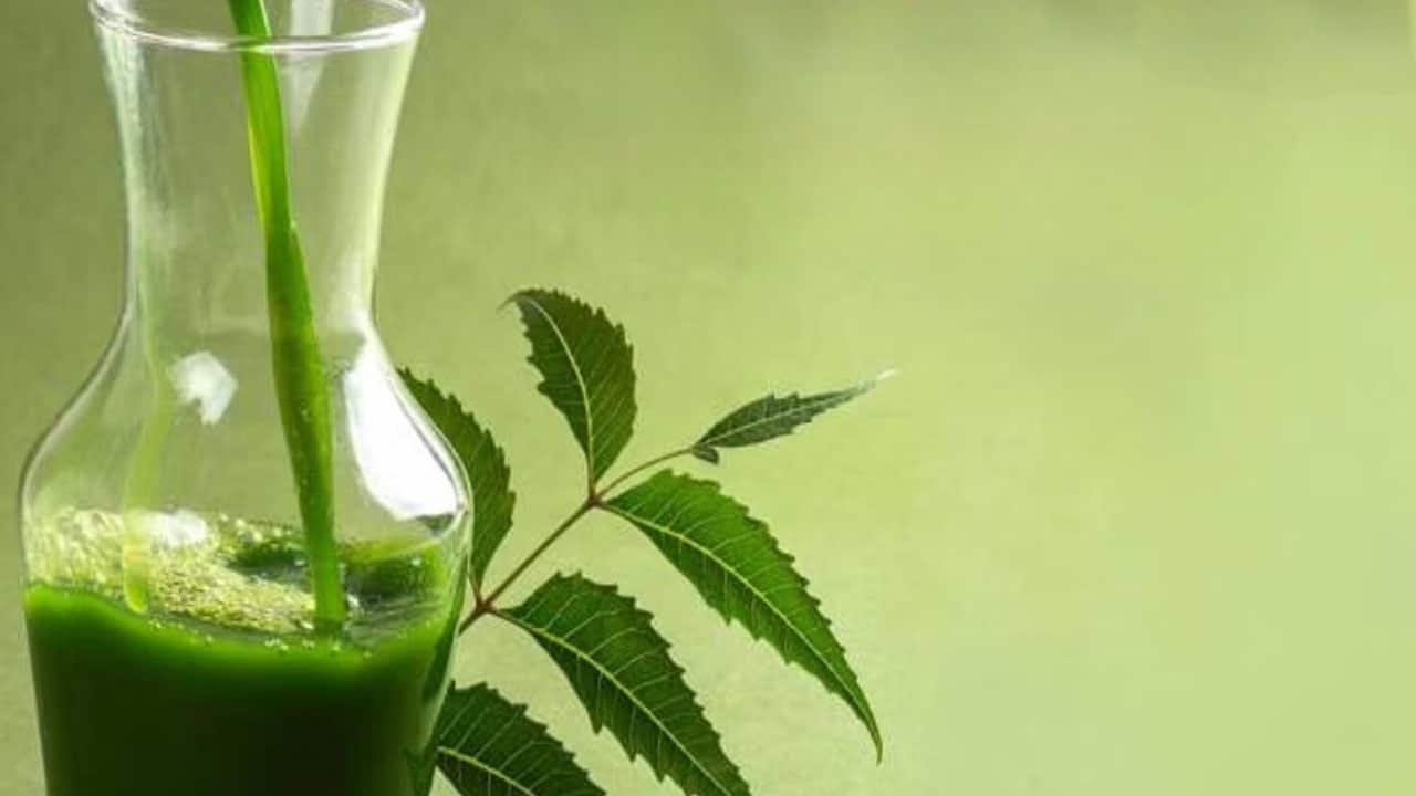 Neem Leaf Water : ఖరీదైన క్రీములు వద్దు..20 రోజులు ఈ నీళ్లు తాగితే చాలు.. మొటిమలు, ముఖంపై జిడ్డు మాయమైపోవాల్సిందే..!