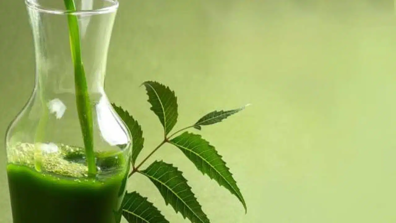 Benefits of neem leaf water