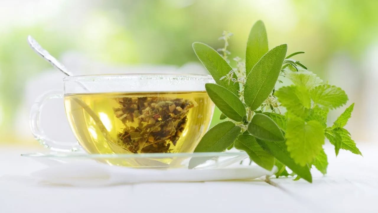 Green Tea : గ్రీన్ టీ ఆరోగ్యానికి లాభమా? నష్టమా ?.. గ్రీన్ టీ విషయంలో తెలుసుకోవాల్సిన నిజాలు ఇవే..!