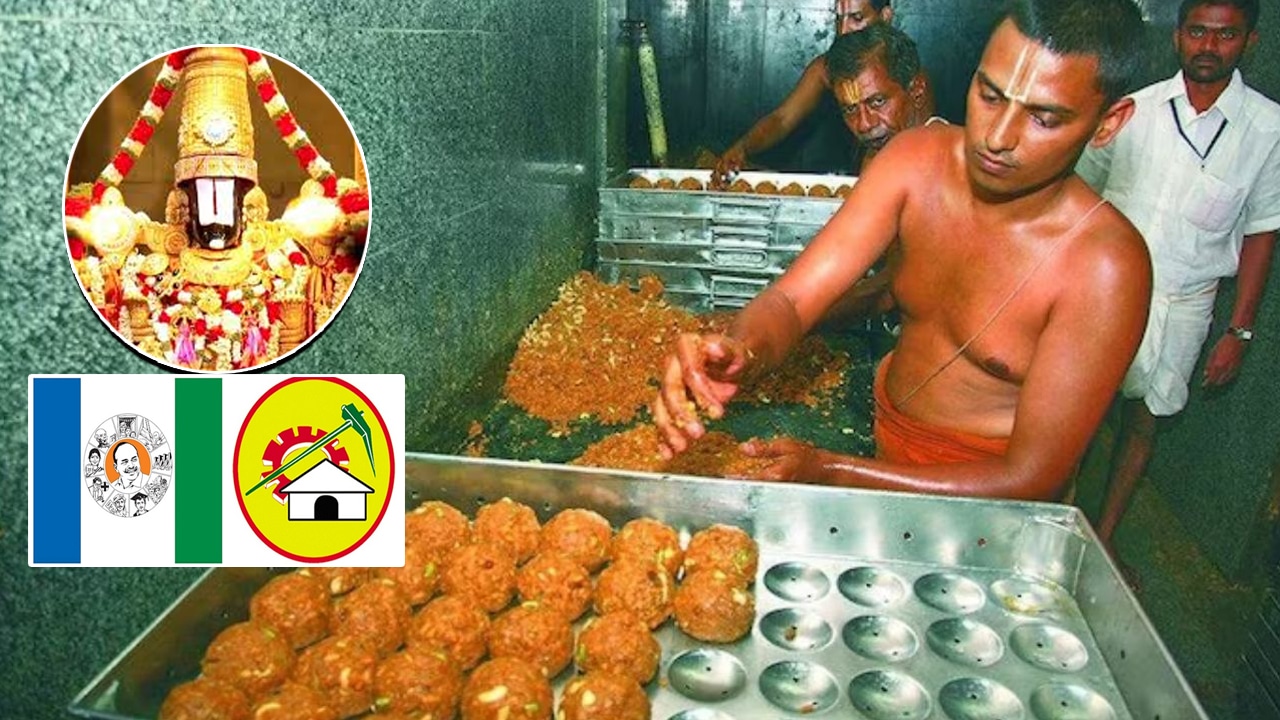 Tirumala Laddu Prasadam :  కొత్త రంగు పోసుకున్న నెయ్యి కల్తీ వివాదం.. జగన్ కు ’11’ టార్గెట్ పెట్టిన టీడీపీ..!
