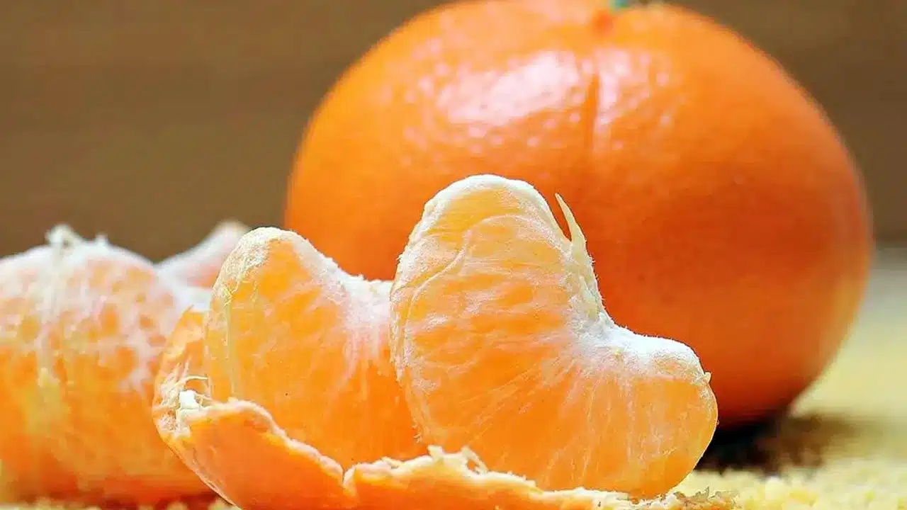 Oranges Side effects: నారింజ పండ్లు ఈ సమస్యలతో ఉన్నవారు అసలు తినకూడదు.. తిన్నారో టెంజర్‌లో పడట్లే..!