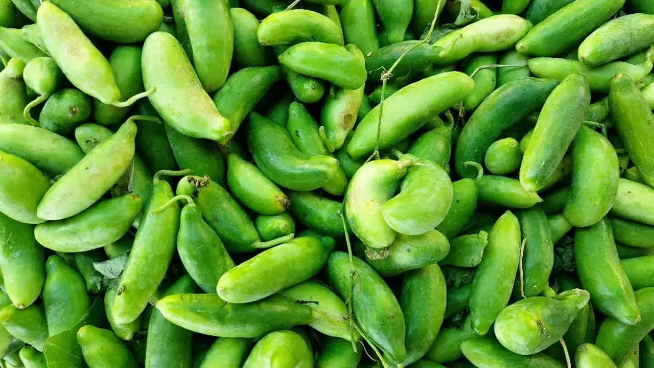 Benefits of Dondakaya Curry