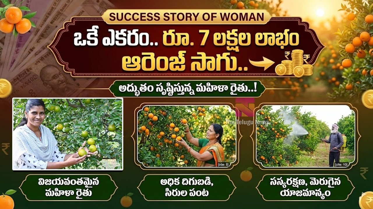 Success Story of Woman : ఒకే ఎకరం.. రూ. 7 లక్షల లాభం ఆరెంజ్ సాగులో అద్భుతం సృష్టిస్తున్న మహిళా రైతు..!