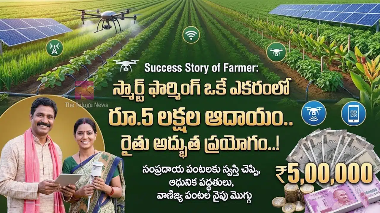 Success Story of Farmer : స్మార్ట్ ఫార్మింగ్ ఒకే ఎకరంలో రూ.5 లక్షల ఆదాయం.. రైతు అద్భుత ప్రయోగం..!