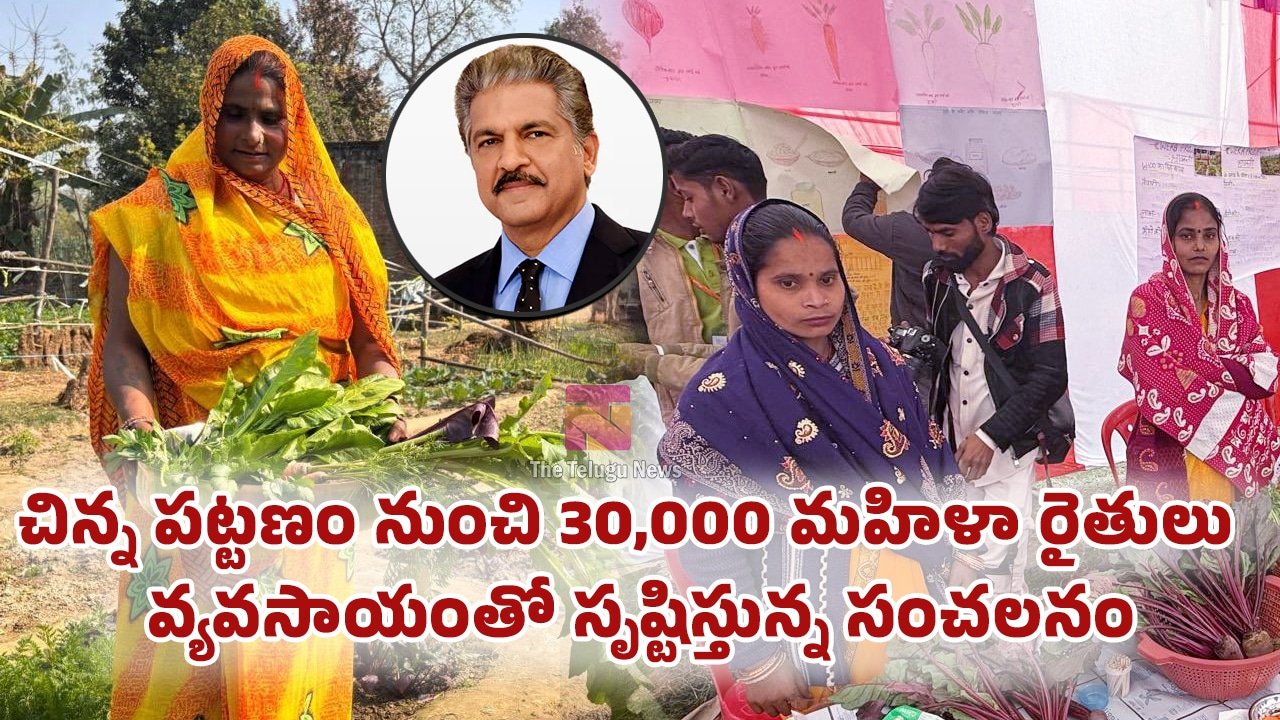 Farmers Motivation : చిన్న పట్టణం నుంచి 30,000 మహిళా రైతులు వ్యవసాయంతో సృష్టిస్తున్న సంచలనం..!