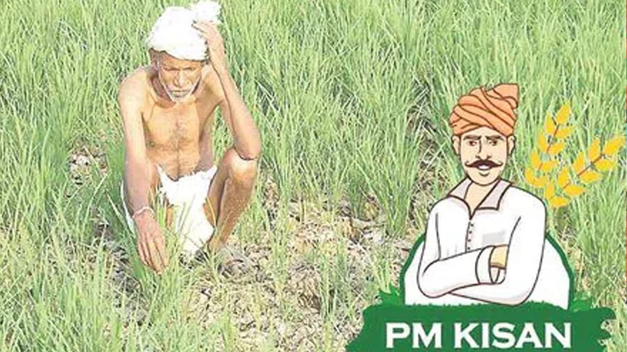 PM Kisan : రైతులకు నిరాశేనా ? .. కనీసం హోలీ పండుగ ముందైనా ఈ డబ్బులు వస్తాయా?