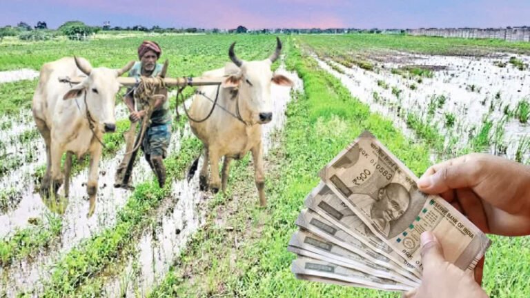 Rythu Bharosa : రైతు భరోసా డబ్బులు ఎప్పుడు ? .. యాసంగి పంట పై అన్నదాతల ఎదురు చూపులు
