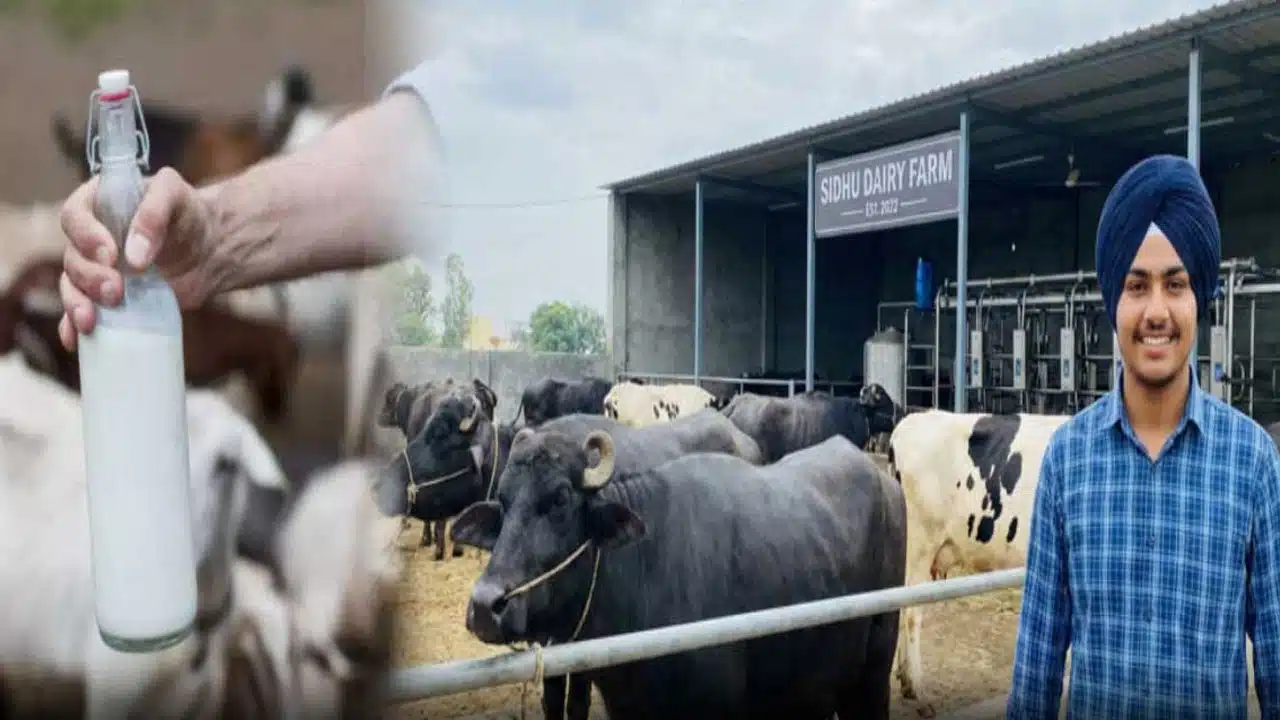 Dairy industry : AI ప్రభావం లేని వ్యాపారం.. రూ.10 లక్షల సంపాదన.. 18 ఏళ్ల యువకుడి అద్భుతం విజయం.. ఎలాగో తెలుసా?