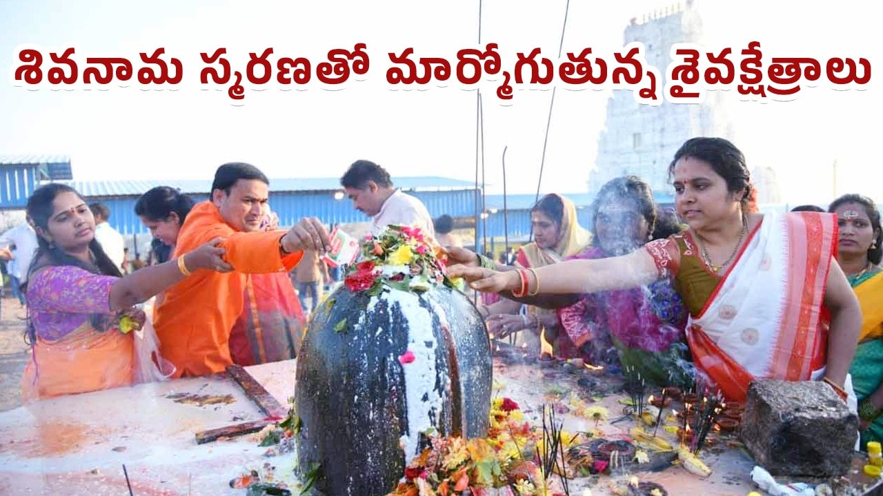 Shivaratri 2026 : శివనామ స్మరణతో మార్మోగుతున్న శైవక్షేత్రాలు