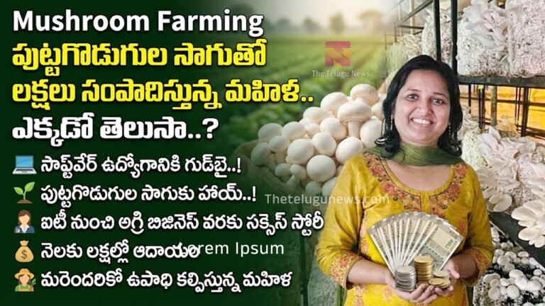 Mushroom Farming : సాఫ్ట్‌వేర్ ఉద్యోగం వదిలి.. పుట్టగొడుగుల సాగుతో లక్షలు సంపాదిస్తున్న మహిళ.. ఎక్కడో తెలుసా?