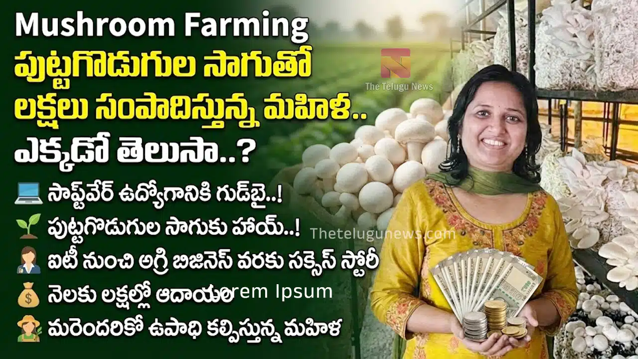 Mushroom Farming : సాఫ్ట్వేర్ ఉద్యోగం వదిలి.. పుట్టగొడుగుల సాగుతో లక్షలు సంపాదిస్తున్న మహిళ.. ఎక్కడో తెలుసా?