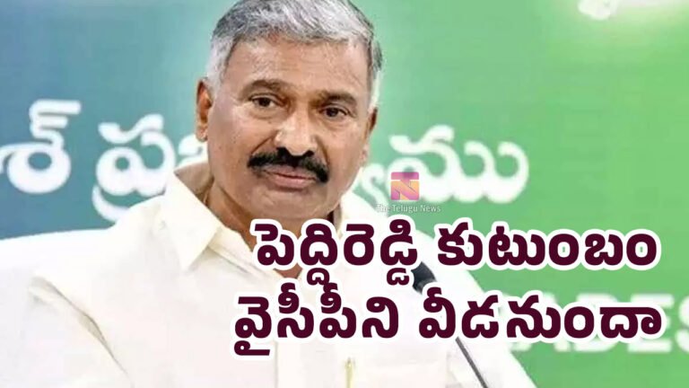 YSRCP : పెద్దిరెడ్డి కుటుంబం వైసీపీని వీడనుందా..? YSRCP : పెద్దిరెడ్డి కుటుంబం వైసీపీని వీడనుందా..?