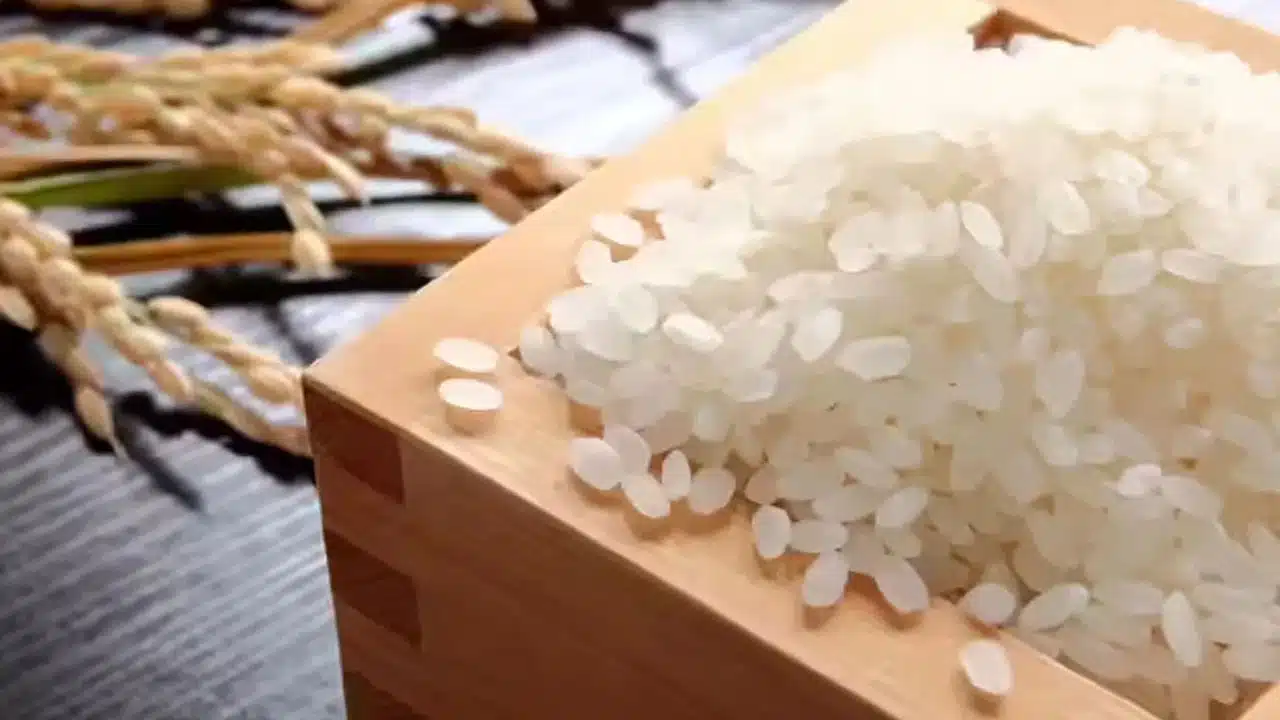 The most expensive rice that has set a Guinness record