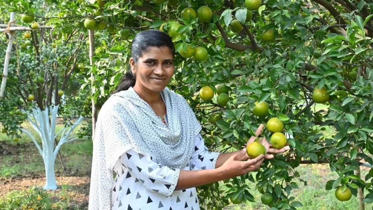 Success Story of Bharti Pohorkar ఒకే ఎకరం రూ 7 లక్షల లాభం ఆరెంజ్ సాగులో అద్భుతం సృష్టిస్తున్న మహిళా రైతు