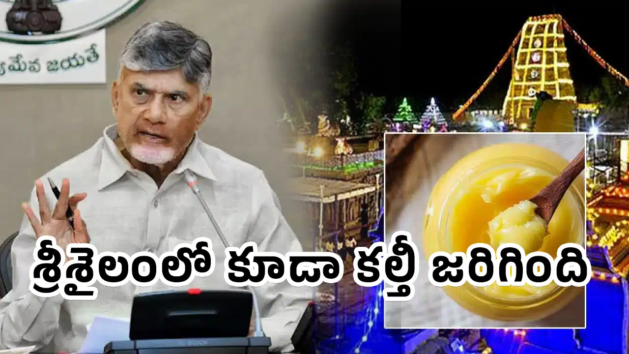 Chandrababu : బిగ్ బ్రేకింగ్.. బాత్రూం క్లీన్ చేసే కెమికల్స్‌ను నెయ్యి వేసి శ్రీశైలం లడ్డూ కల్తీ.. సంచలన విషయాన్నీ బయట పెట్టిన చంద్రబాబు