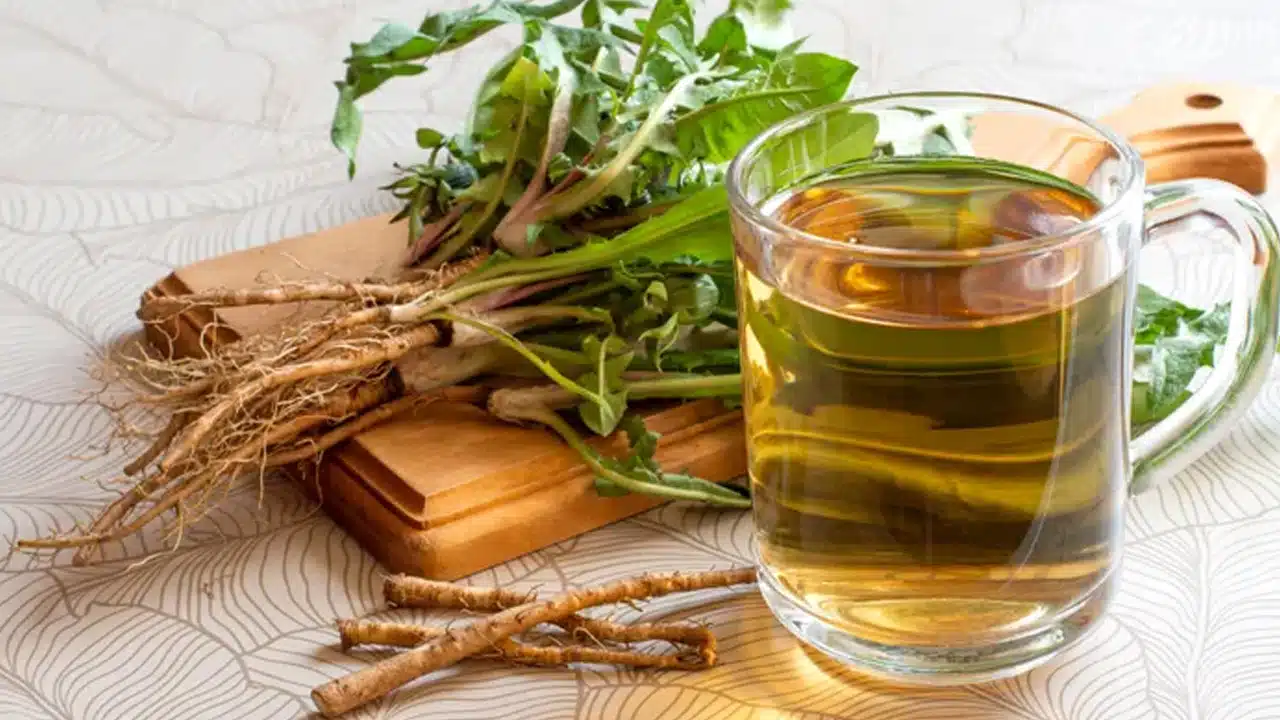 Best Time to Drink Dandelion Tea: బరువు తగ్గాలా? డాండెలైన్ టీ తాగడానికి సరైన సమయం ఇదే..!
