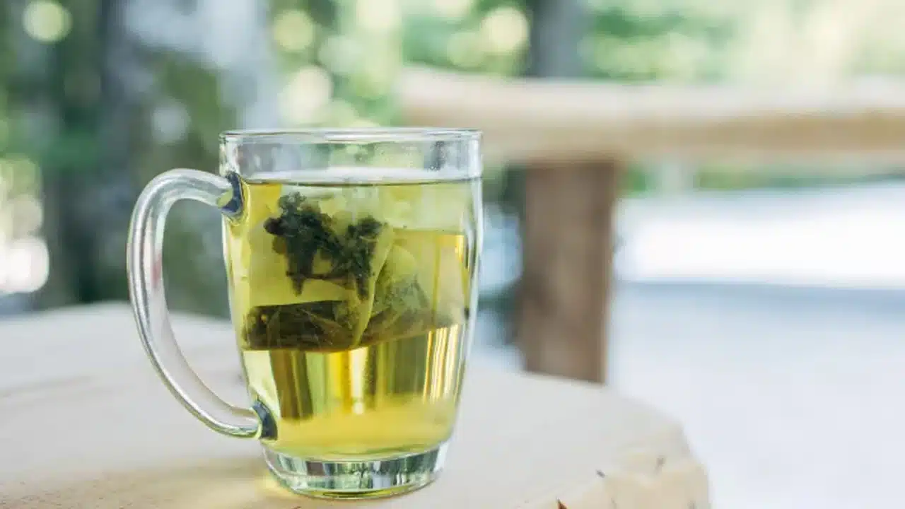 Green Tea for Hair Growth : జుట్టు రాలుతోందా? గ్రీన్ టీతో చెక్ పెట్టండిలా! జుట్టు ఒత్తుగా, నల్లగా పెరగాలంటే ఇది ట్రై చేయండి