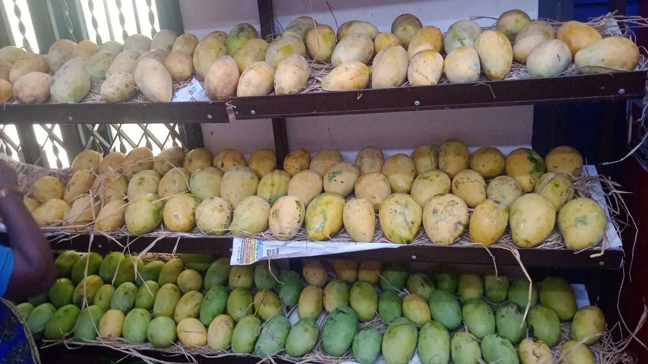 Sreshte Organic Farming Success Story ఐటీ ఉద్యోగాలు వదిలి సేంద్రియ వ్యవసాయం వైపు ఏటా రూ90 లక్షల టర్నోవర్‌తో దూసుకుపోతున్న దంపతులు