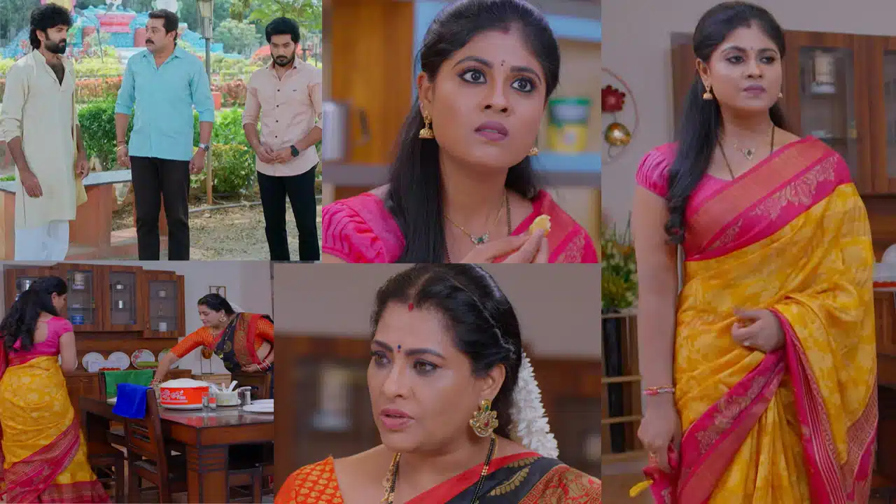 Karthika Deepam 2 Today 19 Feb 2026 Episode : దశరథకు షాకింగ్ నిజం చెప్పిన కార్తీక్.. జ్యోత్స్న నీ కూతురు కాదు.. నా అసలు కూతురు ఎవరు? ప్రశ్నించిన దశరథ