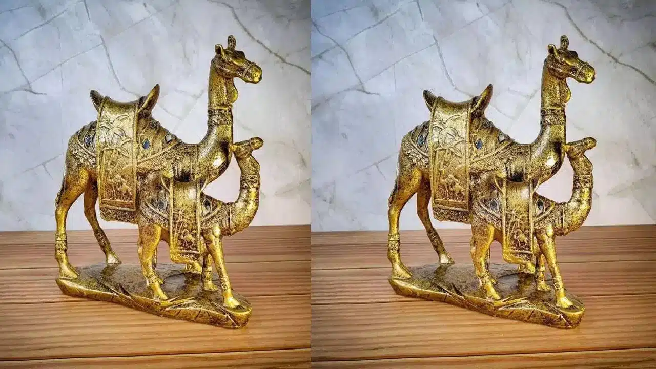 What happens if you keep a camel statue at home?