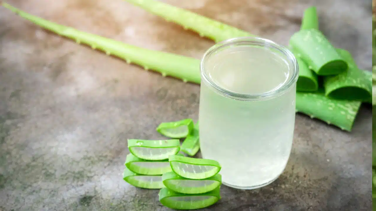 Aloe Vera Juice : వేసవిలో రోజూ కలబంద రసం తాగితే మీ శరీరంలో జరిగే ఈ మార్పులు చూసి ఆశ్చర్యపోతారు..!