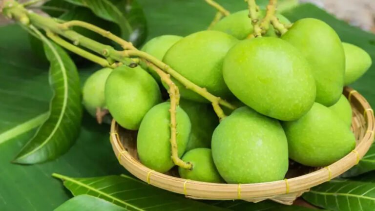 Raw Mango : సమ్మర్‌లో పచ్చి మామిడి మహిమలు .. రుచితో పాటు ఆరోగ్యానికి అద్భుతమైన ప్రయోజనాలు ..!