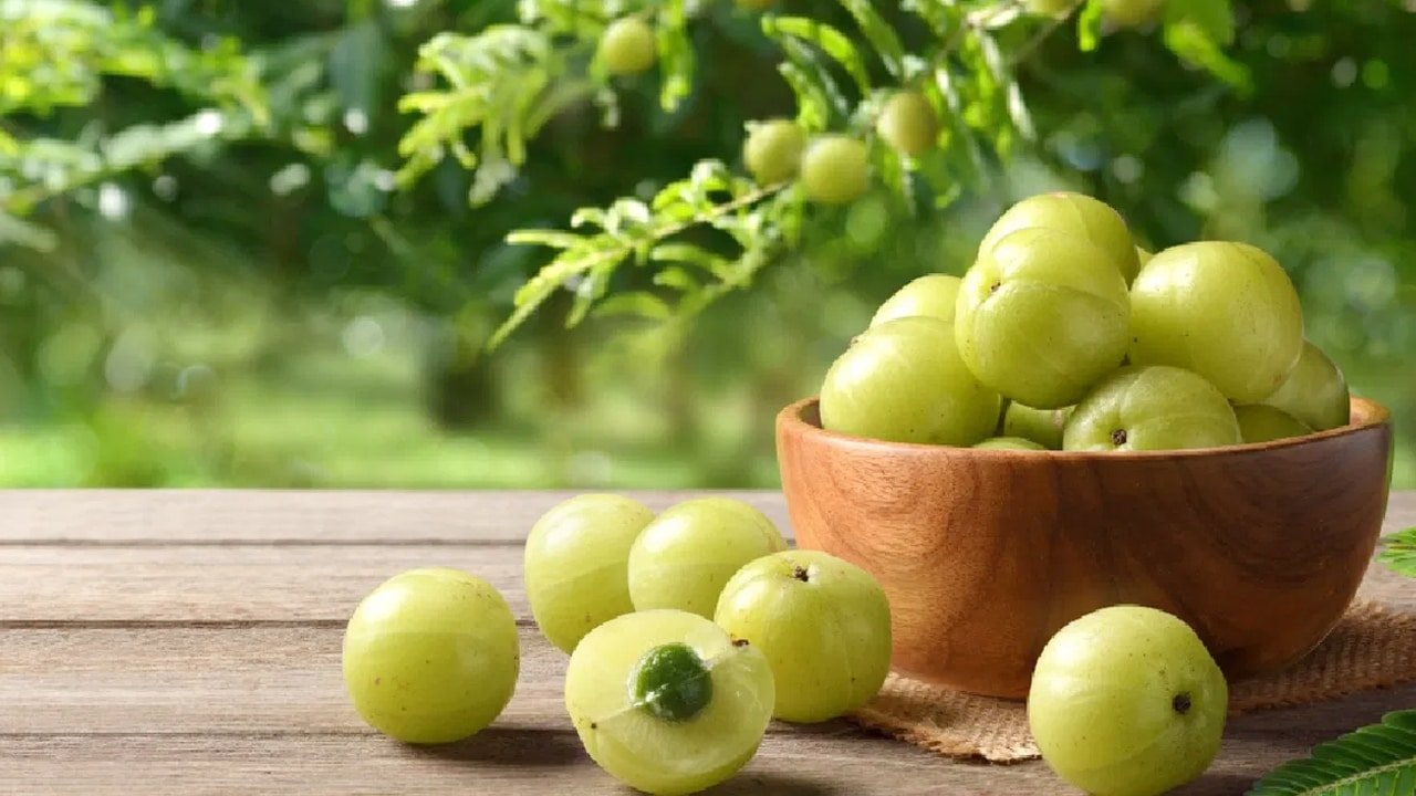 Amla : వీరు ఉసిరికాయను అస్సలు తినకూడదు.. తింటే ప్రమాదంలో పడినట్టే.. మరి ఎందుకు తిన్నకుడదో తెలుసా..!