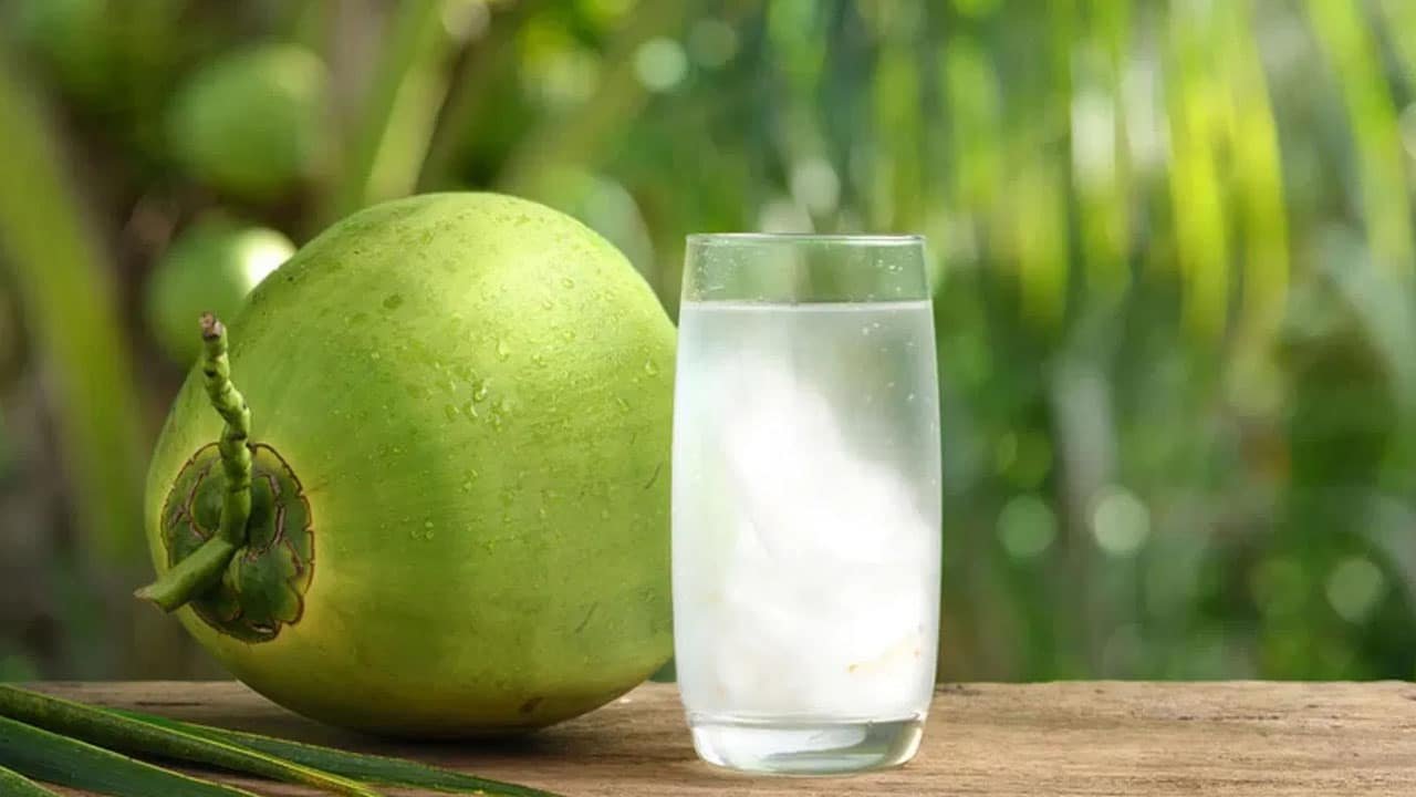 Coconut Water : ఎండకాలంలో కొబ్బరి నీళ్లు తాగడం మంచిదేనా? .. తాగితే కలిగే లాభాలేంటి.? నష్టాలేంటి.. తెలుసా ?