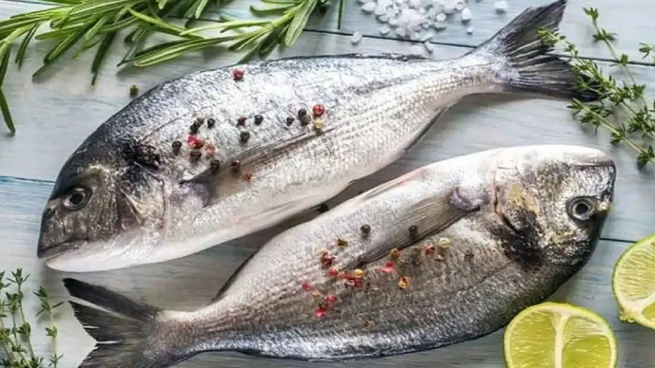 Benefits of eating fish eyes