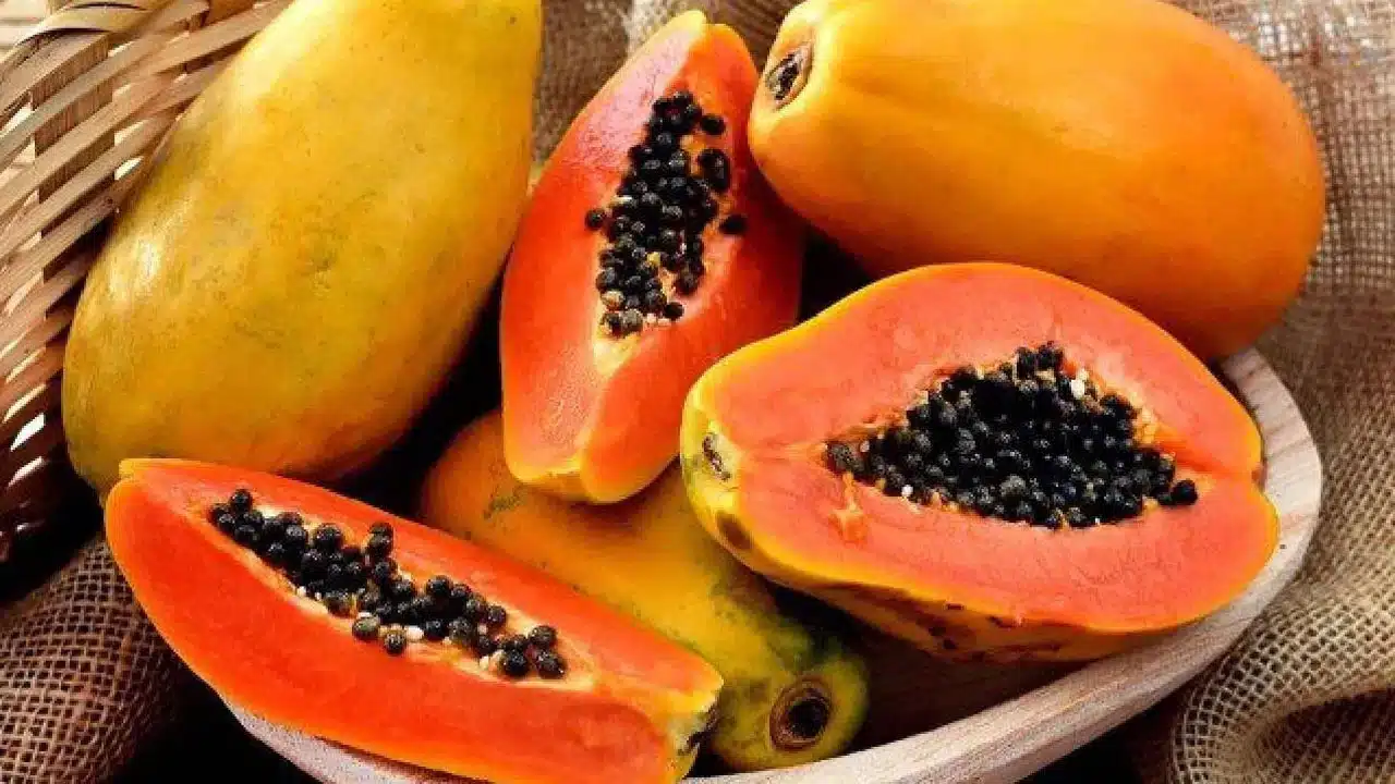 Benefits of eating papaya fruit