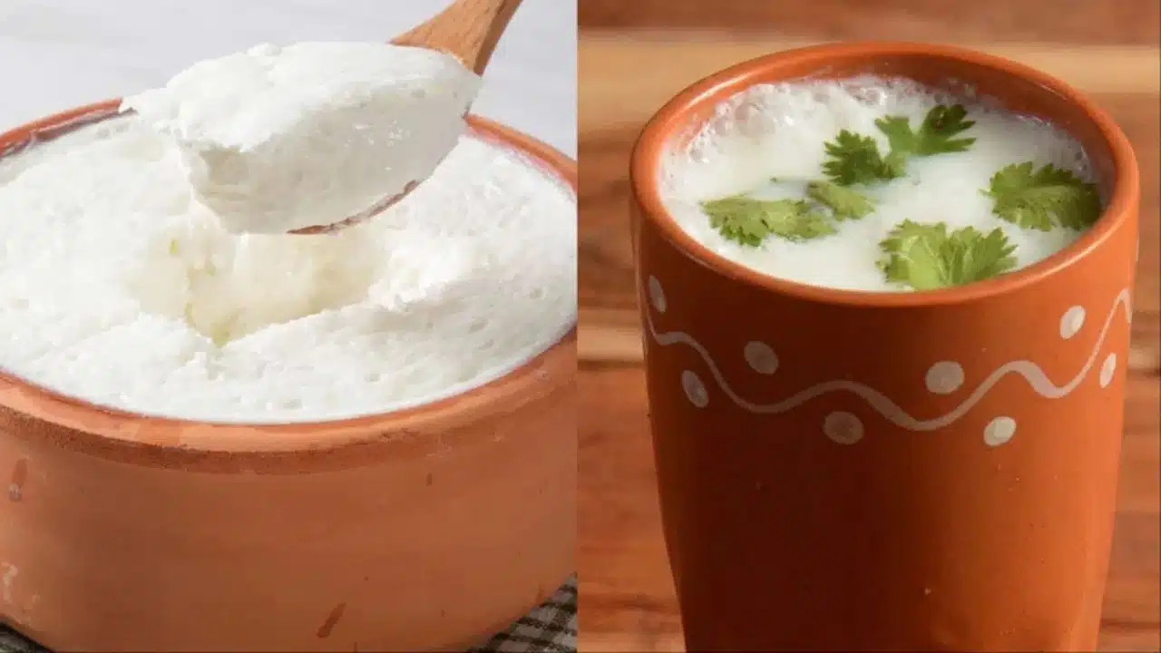 Benefits of eating yogurt and drinking buttermilk in the summer