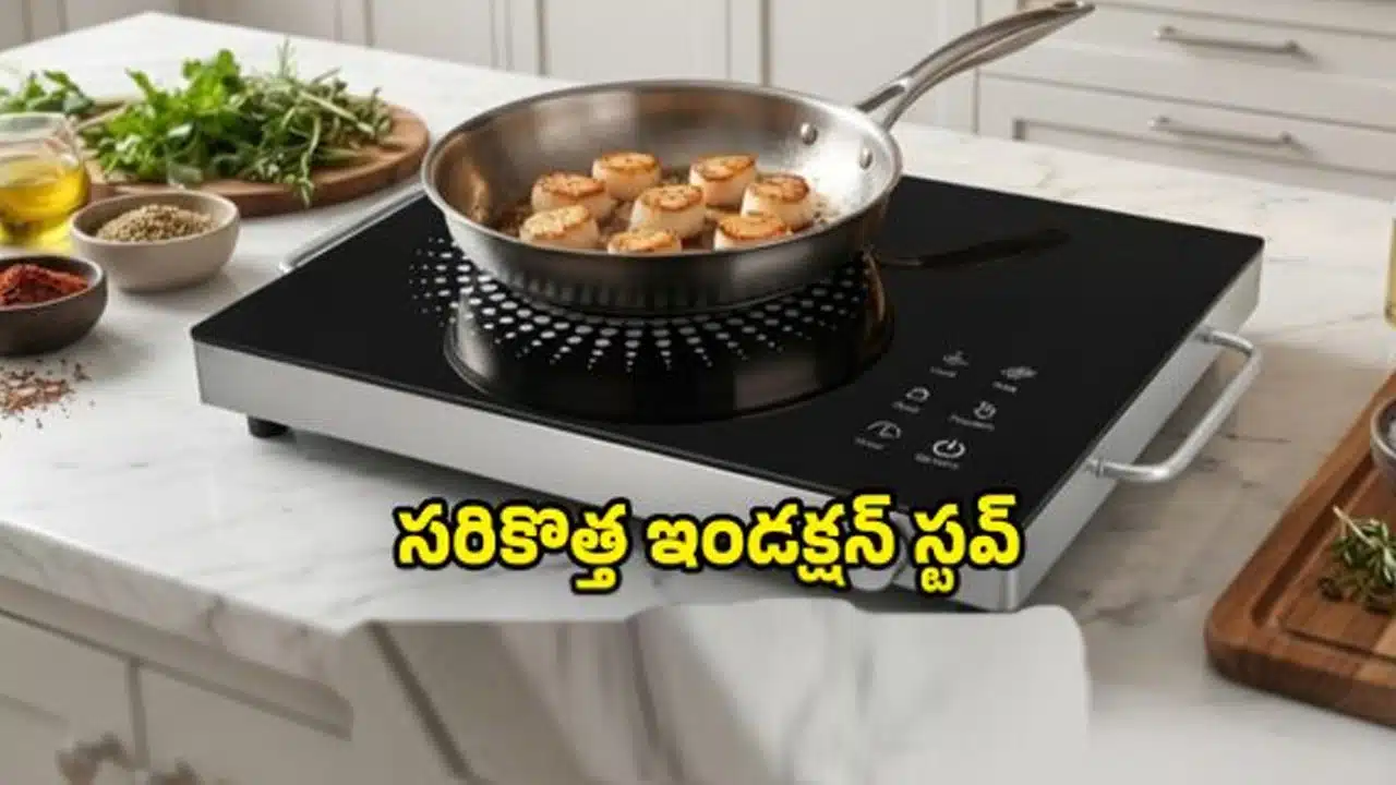Induction stove price details