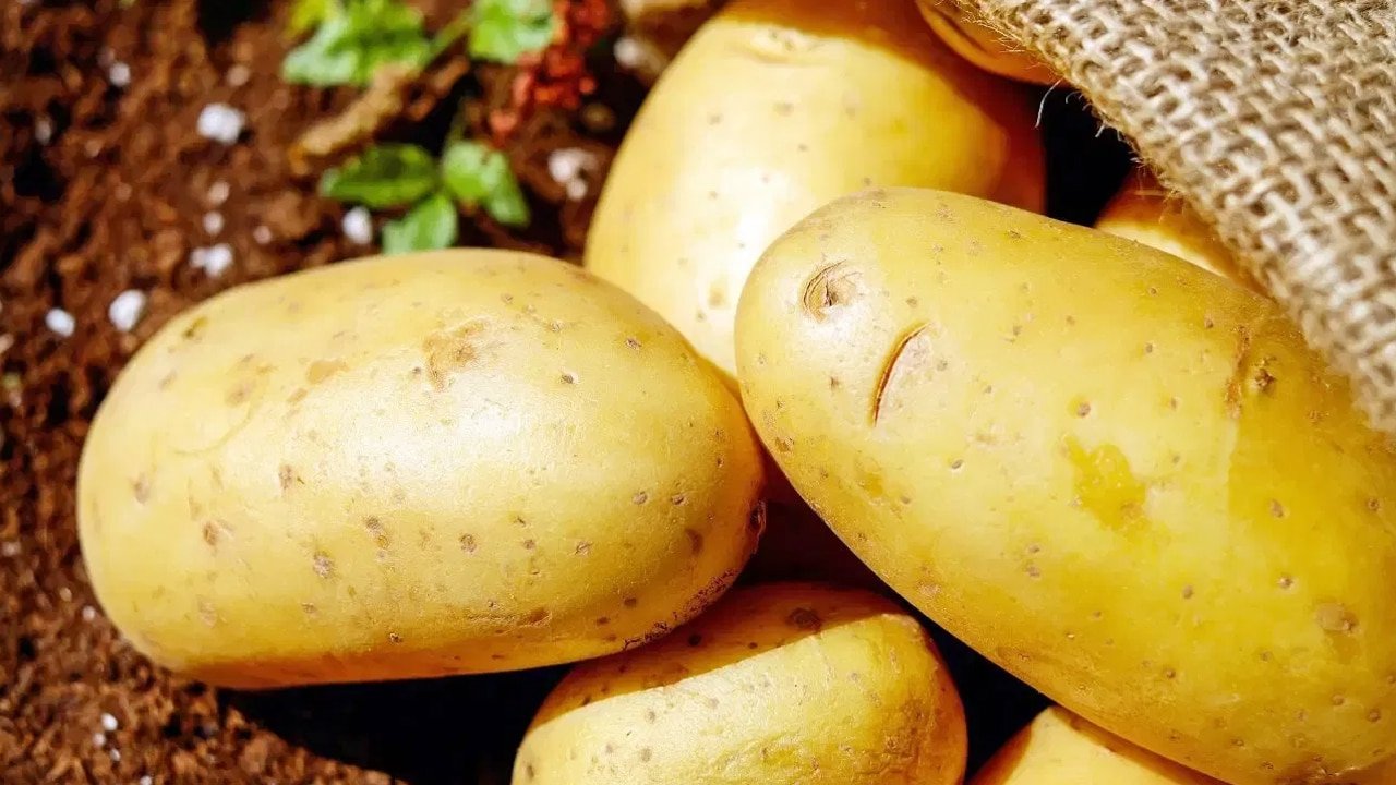 Potatoes : వేసవిలో పొటాటో తింటున్నారా? అయితే ఈ షాకింగ్ నిజాలు తెలుసుకోవాల్సిందే..!