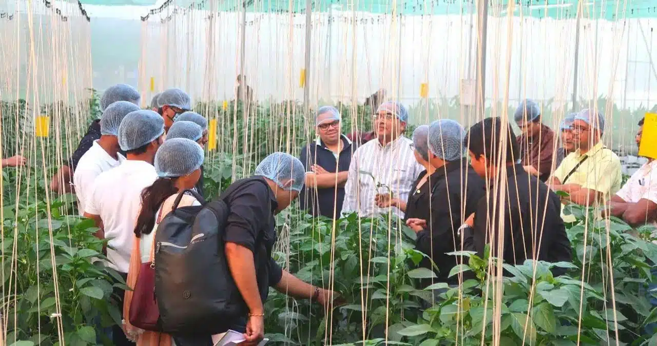 How to Start Hydroponics Farming : మట్టితో పనిలేకుండా వ్యవసాయం.. కోట్లు సంపాదిస్తున్న ముగ్గురు మిత్రులు.. 35000 మందికి ట్రైనింగ్.. 'హైడ్రోపోనిక్స్' సక్సెస్ స్టోరీ ఇదే