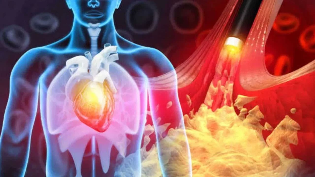 Cholesterol : ఈ కాలంలో ఒంట్లో ఎక్కువగా కొలెస్ట్రాల్ పెరుగుతుందో ఎందుకో తెలుసా?.. కారణాలు ఇవేనా ..!