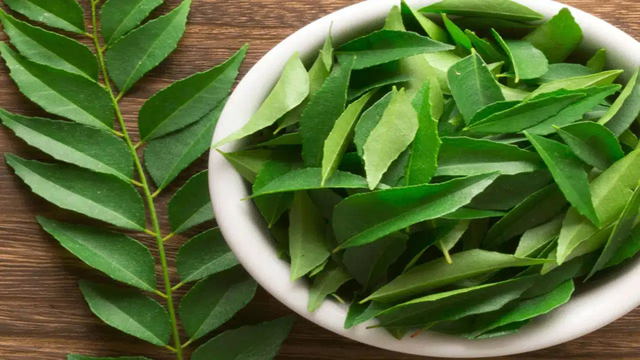 Benefits of eating curry leaves,