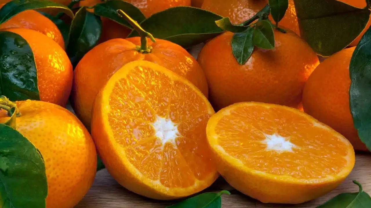 Benefits of eating oranges