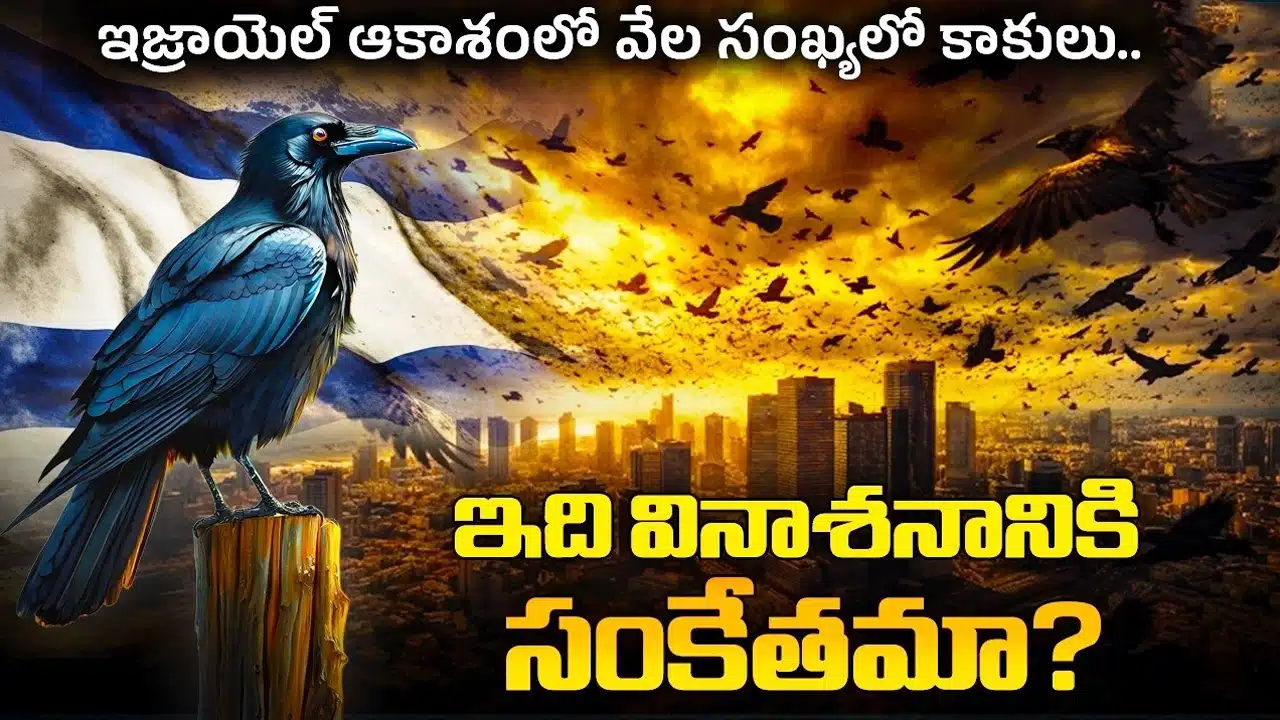 Israel : ఇజ్రాయిల్ మీదకి ఒక్కసారిగా వచ్చిన వేలాది బొంత కాకులు ... ప్రళయ కాలం మొదలైంది