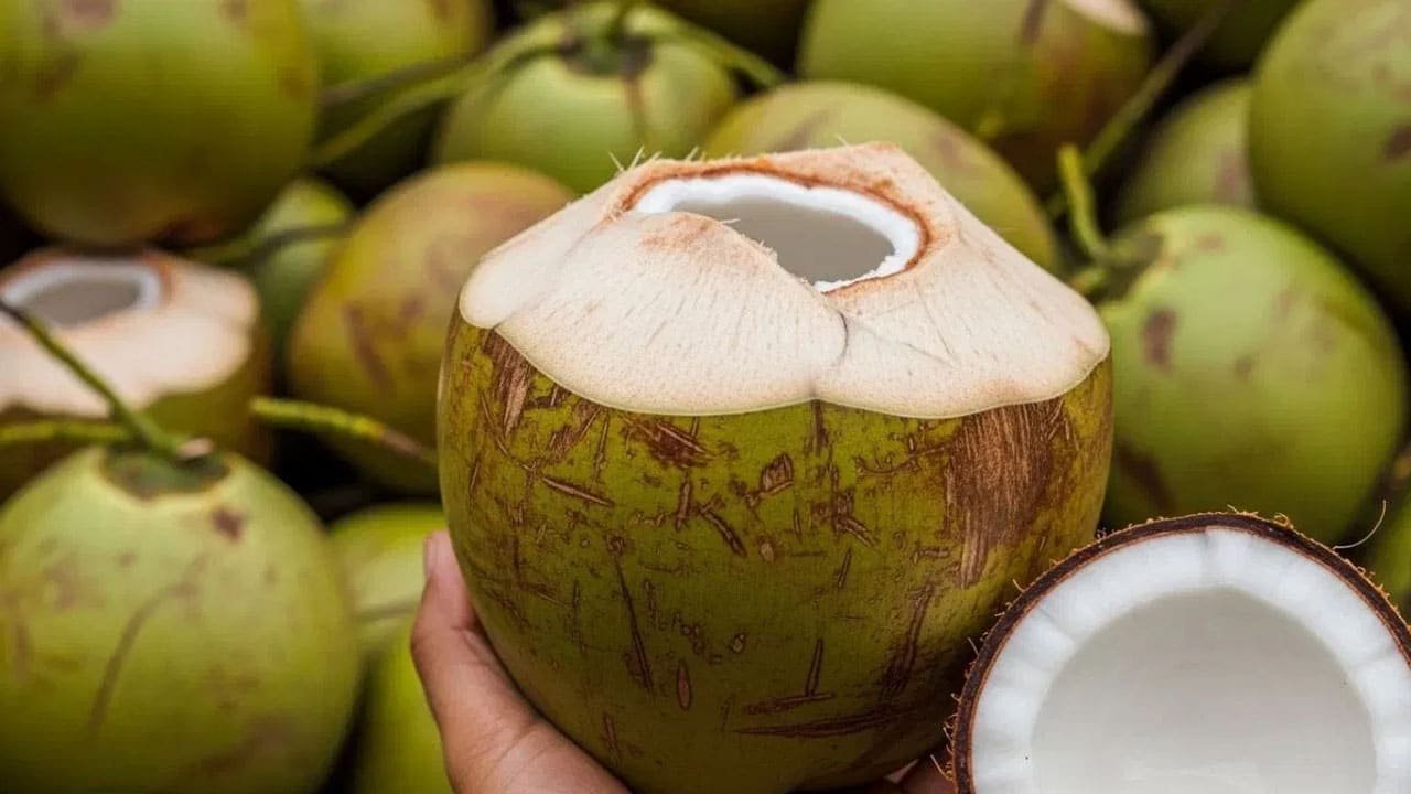 Coconut Water : నీళ్లు ఎక్కువగా ఉన్న కొబ్బరిబోండాన్ని ఈజీగా గురించేందుకు సింపుల్‌ ట్రిక్స్‌..!