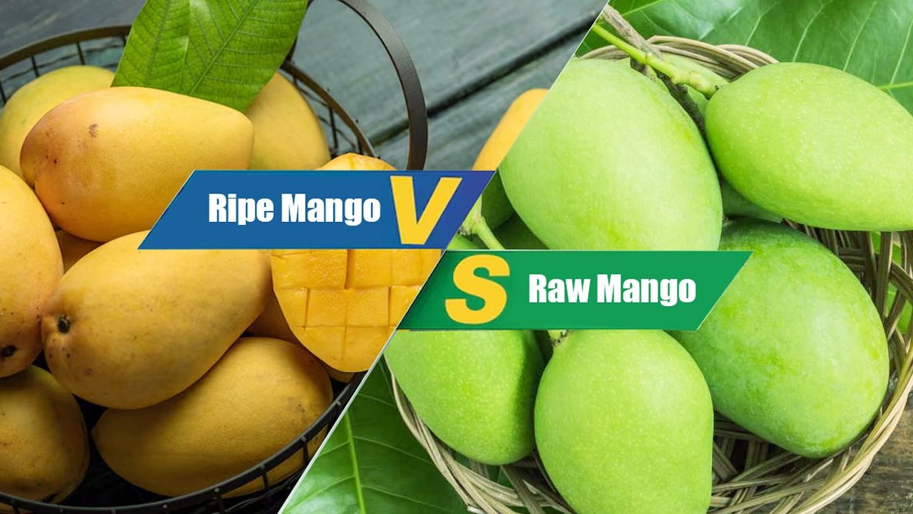 Mango : పచ్చి మామిడి లేదా పండు మామిడి ఈ రెండింటిలో ఏది తింటే ఆరోగ్యానికి ఎక్కువ మేలు..!