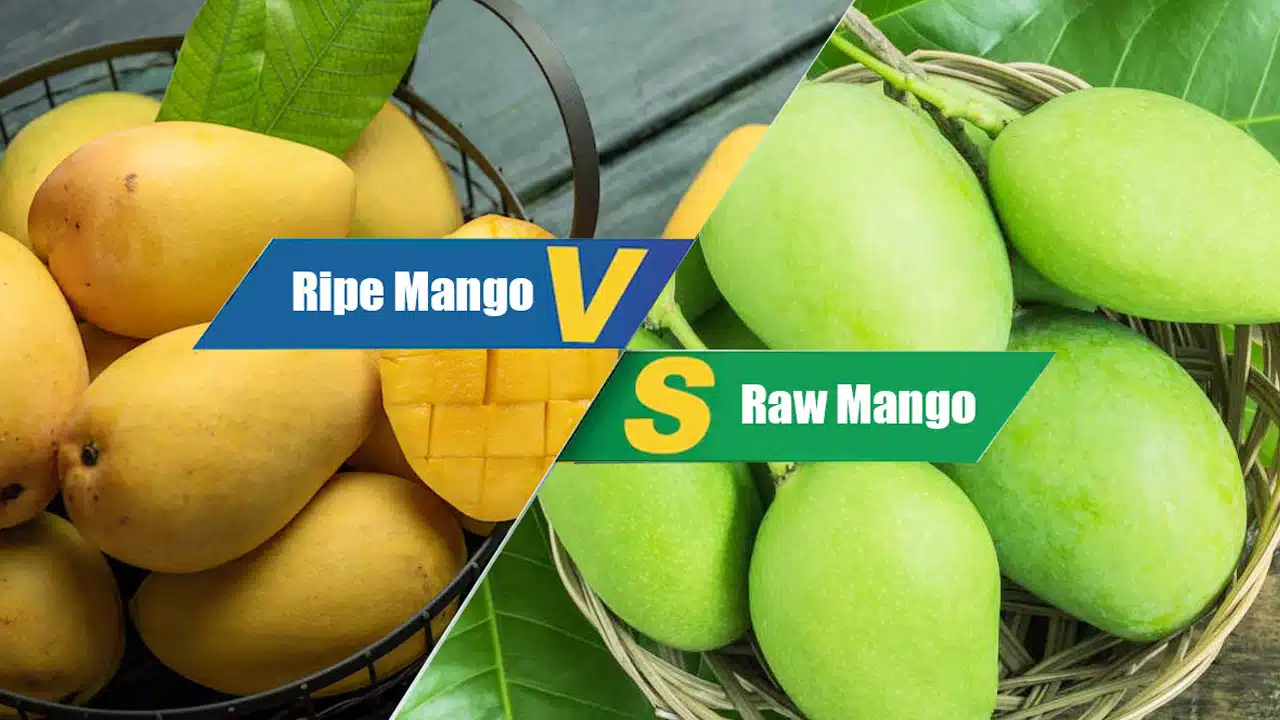 Mango : పచ్చి మామిడి లేదా పండు మామిడి ఈ రెండింటిలో ఏది తింటే ఆరోగ్యానికి ఎక్కువ మేలు..!